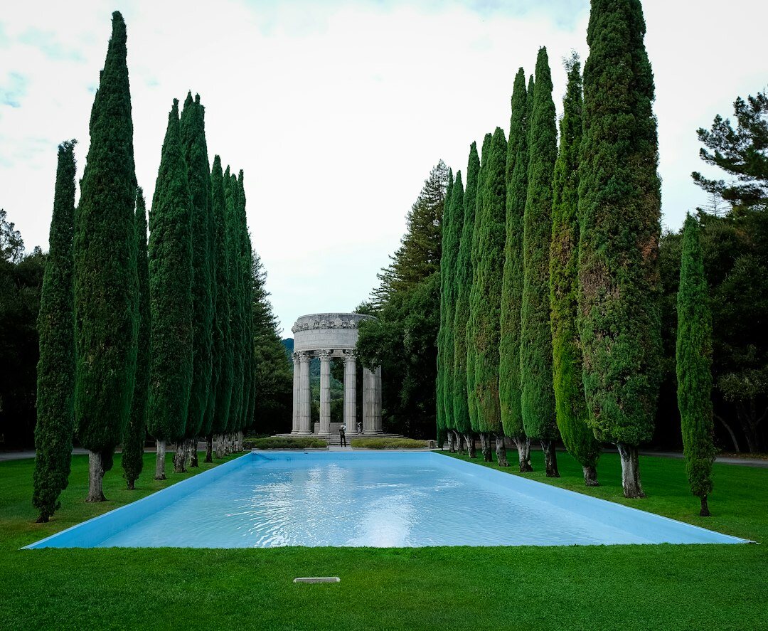 luxury celebrity garden pool